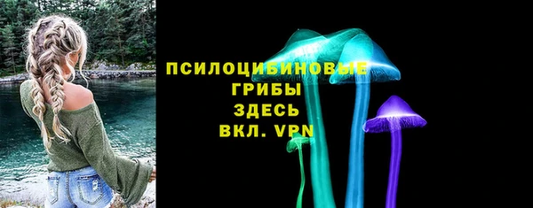 2c-b Снежногорск
