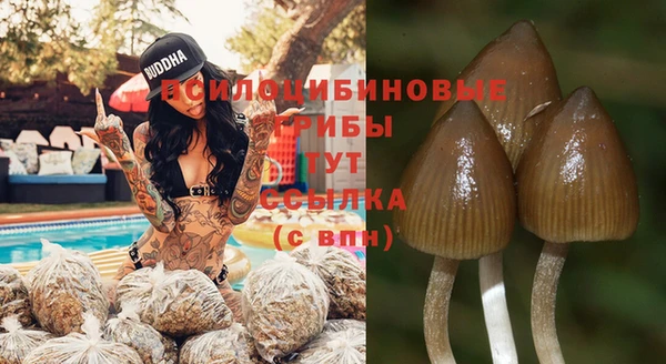 spice Снежинск