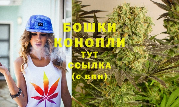 spice Снежинск