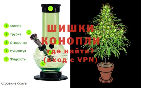 молекула духа Сосновоборск