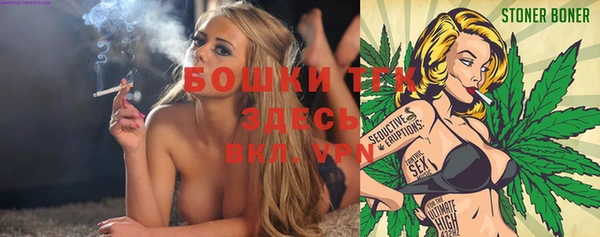 spice Снежинск