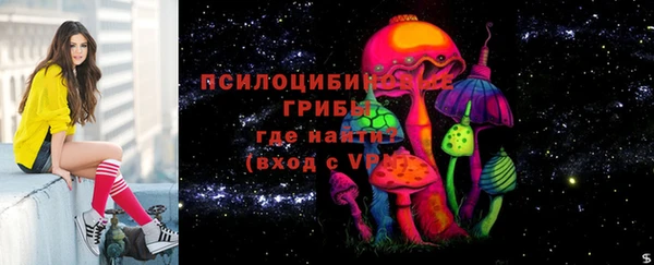 дмт Сосновка